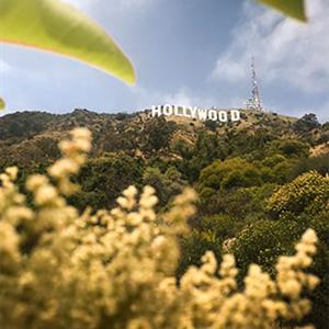 Bikes and Hikes LA